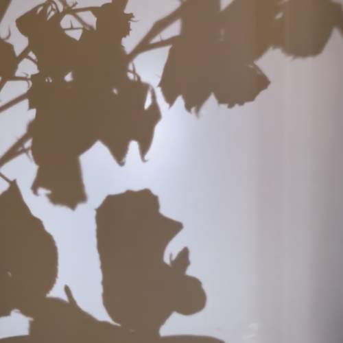 Photo #13463125