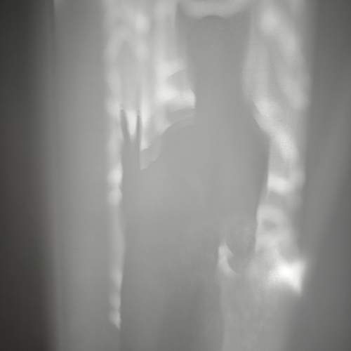 Photo #13463262