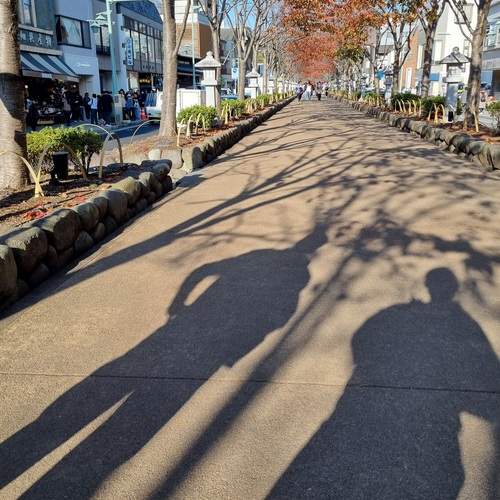 Photo #13463337