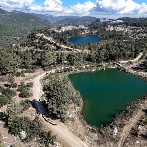 Photo #13463383