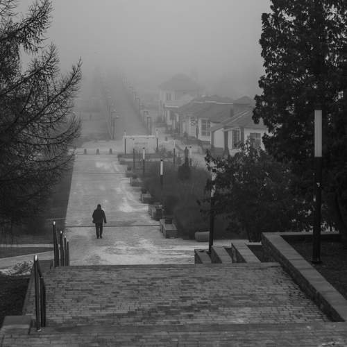 Photo #13463480
