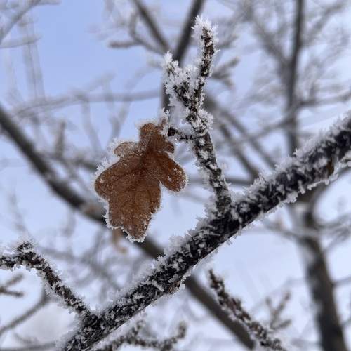 Photo #13463491