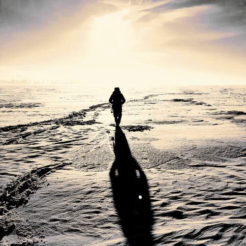 Photo #13463600