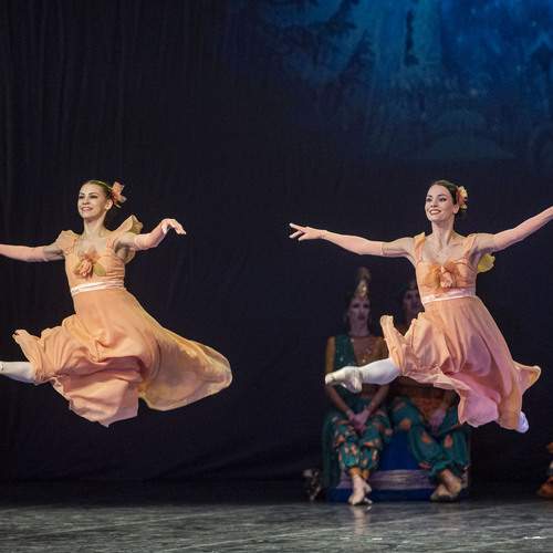 Photo #13463669