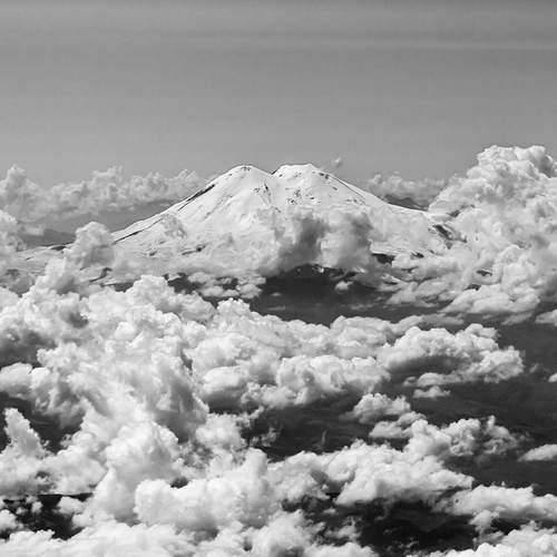 Photo #13463787