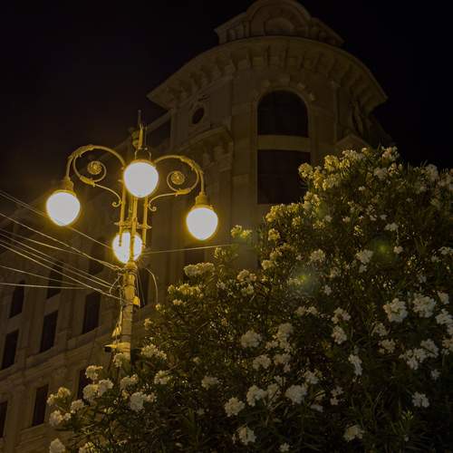 Photo #13463869