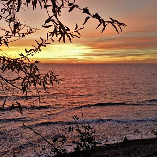 Photo #13464194