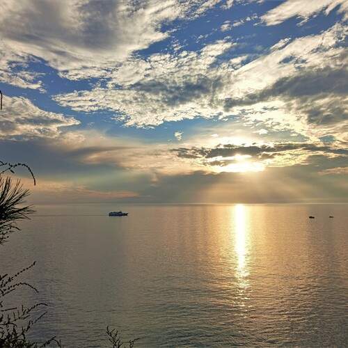 Photo #13464198