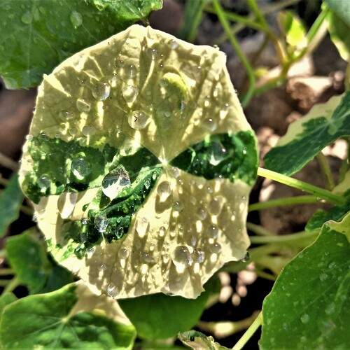 Photo #13464200