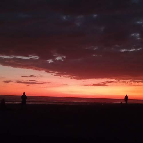 Photo #13464341