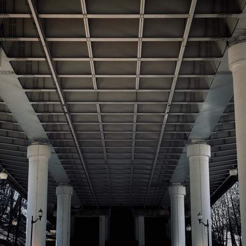 Photo #13464404