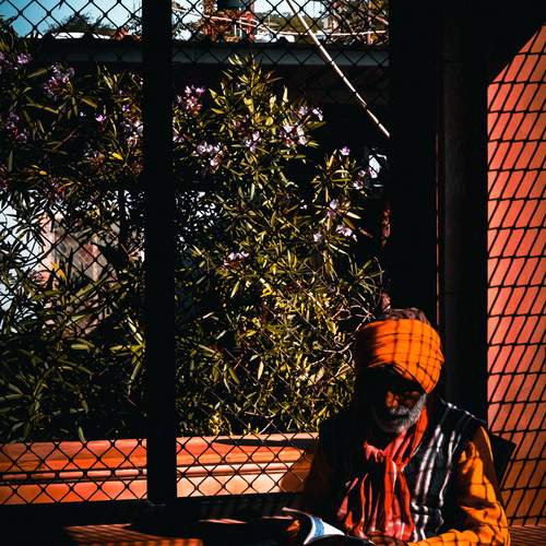 Photo #13464563