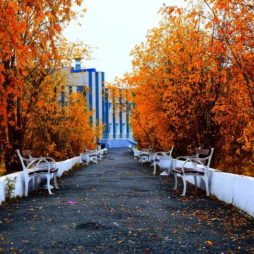 Photo #13464585