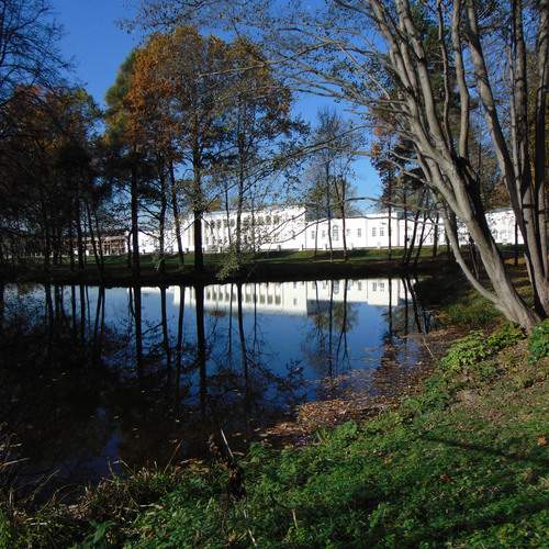Photo #13464661