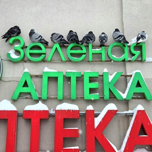 Photo #13464718