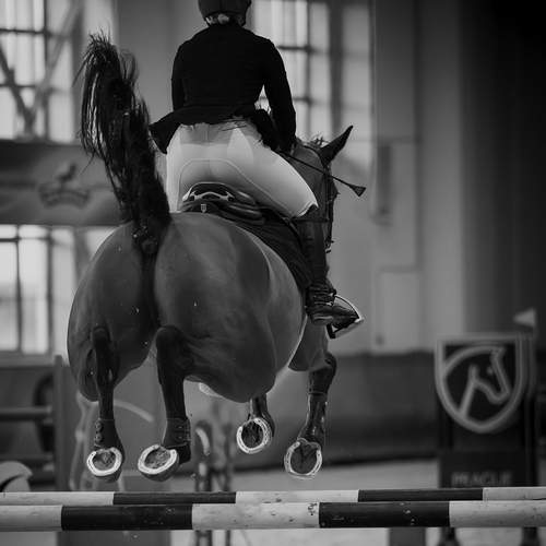 Photo #13464919