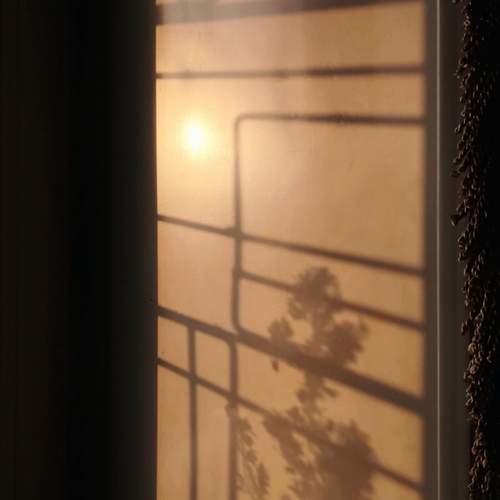 Photo #13464994