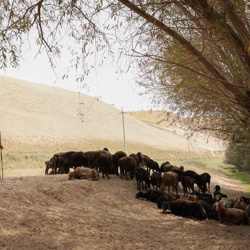 Photo #13465106