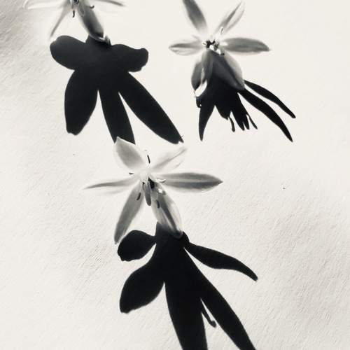 Photo #13465316