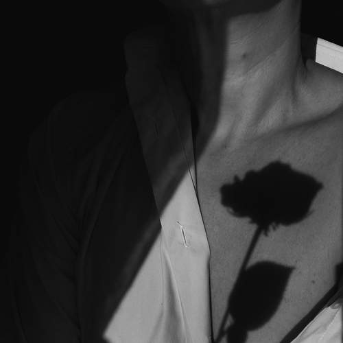 Photo #13465321