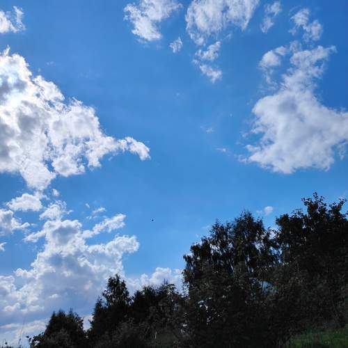 Photo #13465510