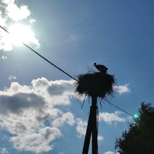 Photo #13465511