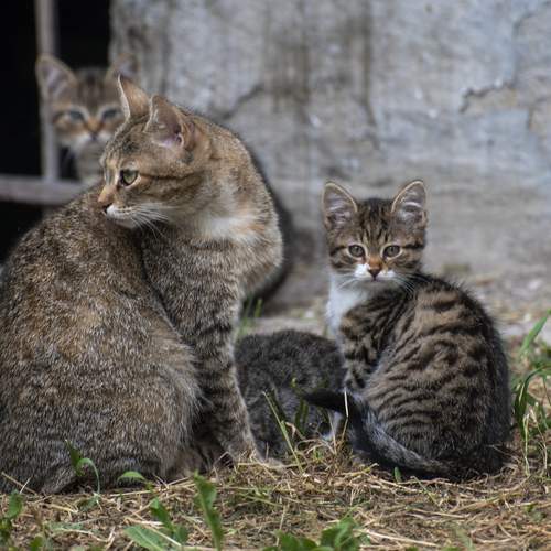 Photo #13465615