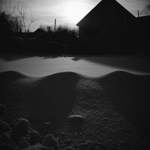 Photo #13465850
