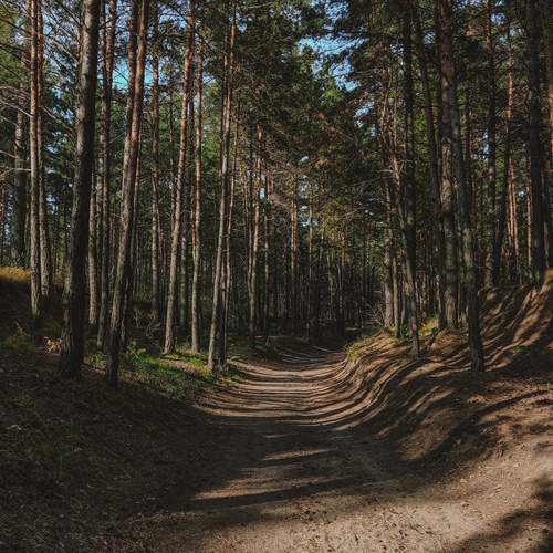 Photo #13465963