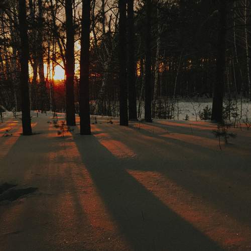 Photo #13465971