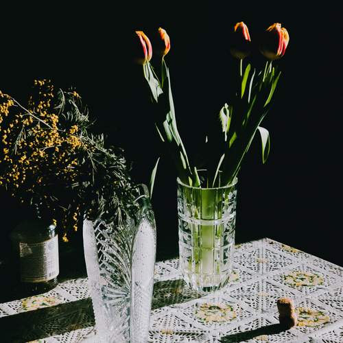 Photo #13465974