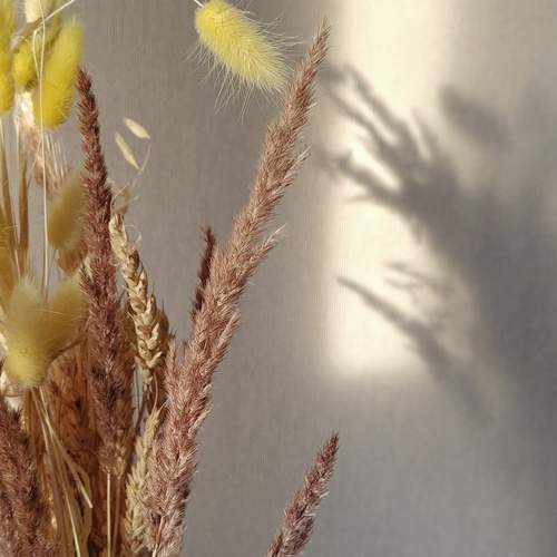 Photo #13466002
