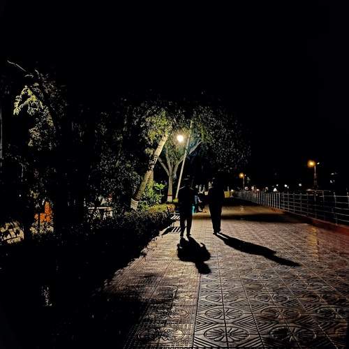 The Silent Echo of Shadows