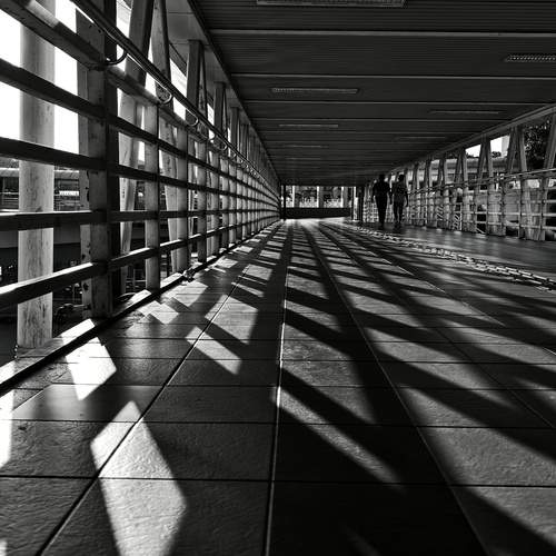 Photo #13466064
