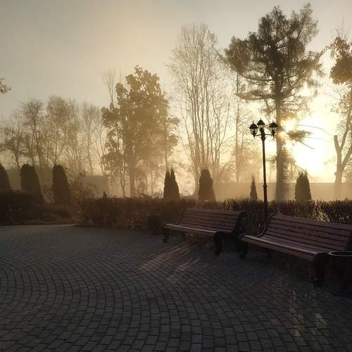 Photo #13466262