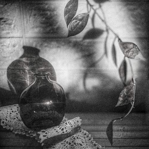 Photo #13466431