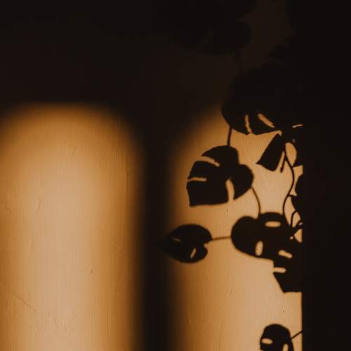 Photo #13466438