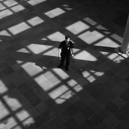 Photo #13466524
