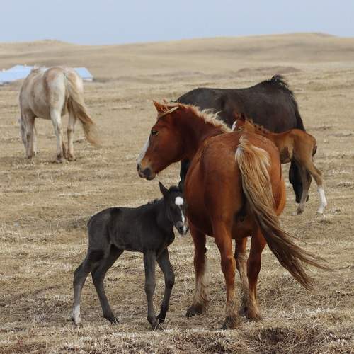 Photo #13466540