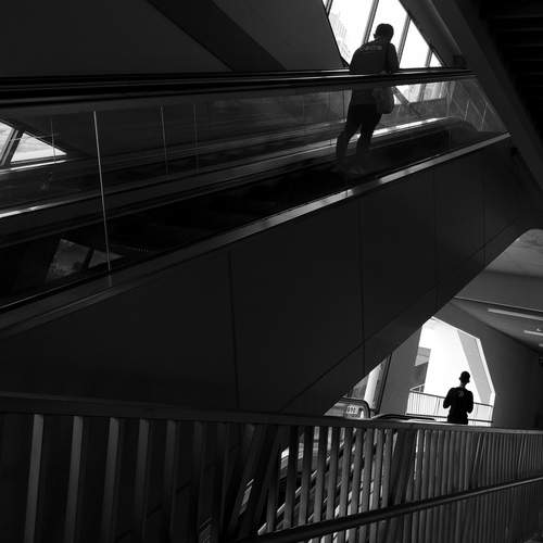 Photo #13466779