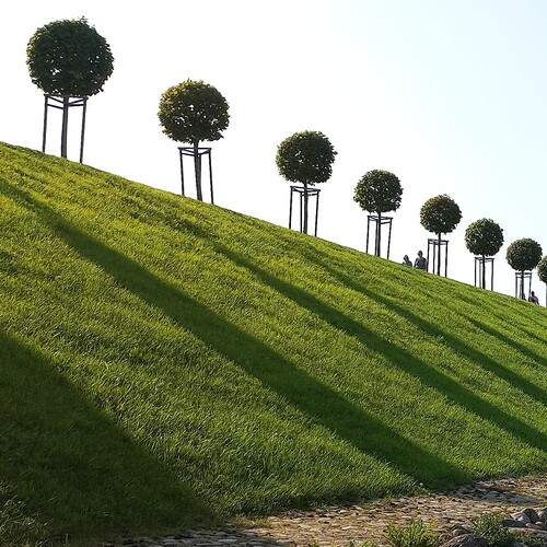 Тени на пологом зелёном травяном склоне паркового комплекса Петергоф