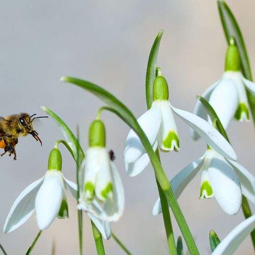Photo #13466944