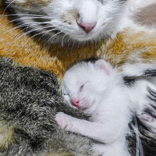 Photo #13466972