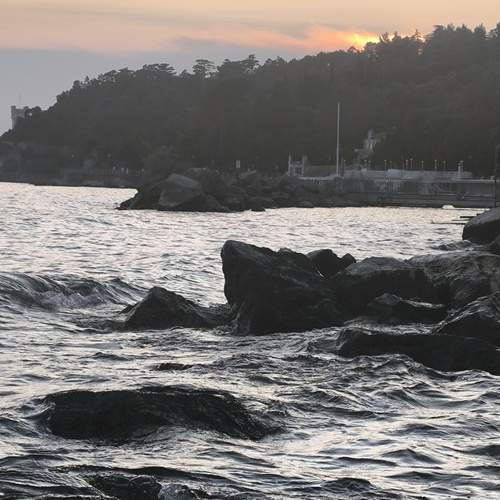 Photo #13467070