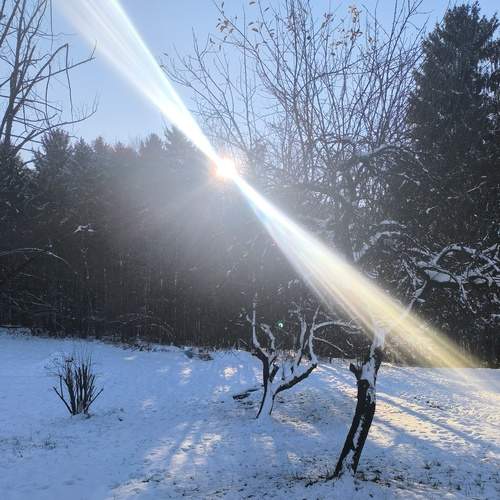 Photo #13467080