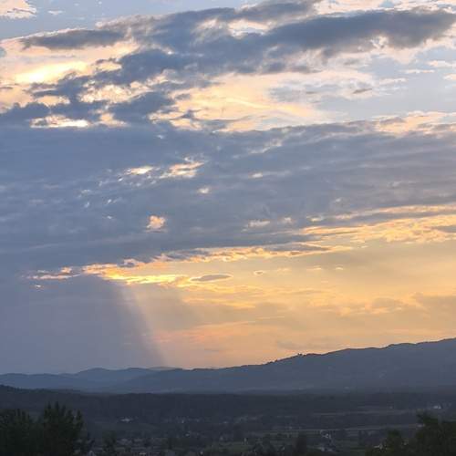 Photo #13467088