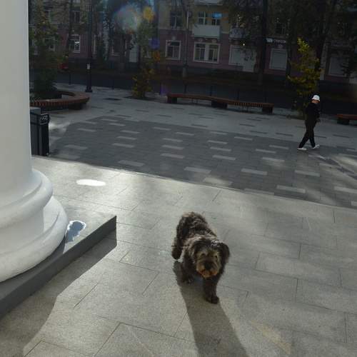 Фотография #13467196