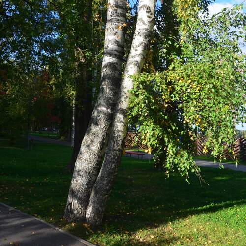 Фотография #13467198