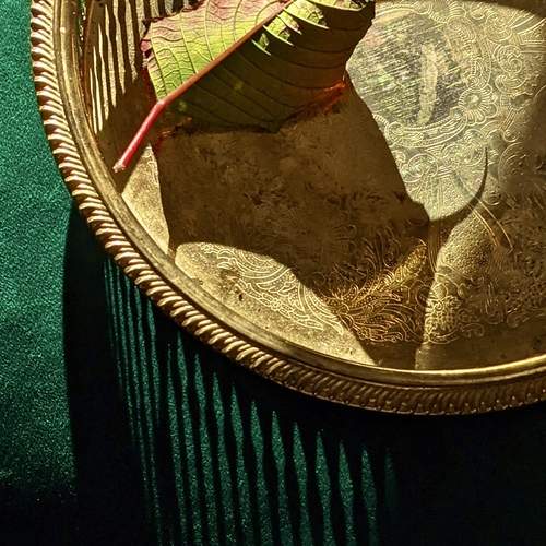 Photo #13467406