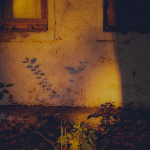 Photo #13467422